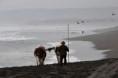 /album/fotogaleria/cobquecura-2009-033-jpg/